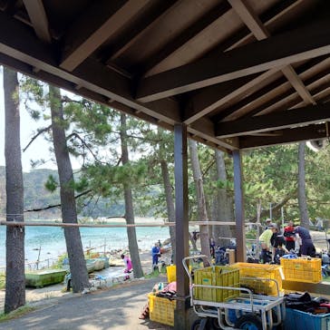 黄金崎ダイブセンターに投稿された画像（2024/8/4）