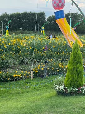 せんだい農業園芸センター　みどりの杜に投稿された画像（2024/8/4）