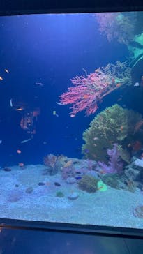マリンワールド海の中道に投稿された画像（2024/8/4）