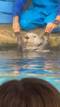 マリンワールド海の中道に投稿された画像（2024/8/4）