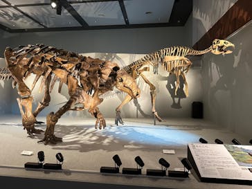 DinoScience 恐竜科学博 ～ララミディア大陸の恐竜物語～ 2024@OSAKAに投稿された画像（2024/8/4）