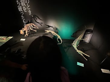DinoScience 恐竜科学博 ～ララミディア大陸の恐竜物語～ 2024@OSAKAに投稿された画像（2024/8/4）