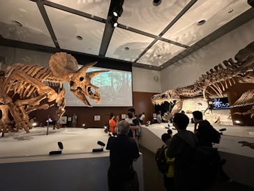 DinoScience 恐竜科学博 ～ララミディア大陸の恐竜物語～ 2024@OSAKAに投稿された画像（2024/8/4）