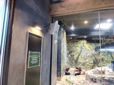 恩賜上野動物園に投稿された画像（2024/8/4）