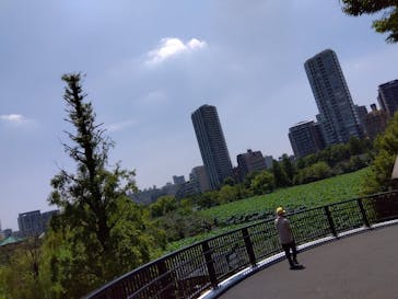 恩賜上野動物園に投稿された画像（2024/8/4）