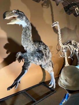 巨大恐竜展2024に投稿された画像（2024/8/4）