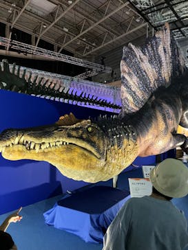 巨大恐竜展2024に投稿された画像（2024/8/4）