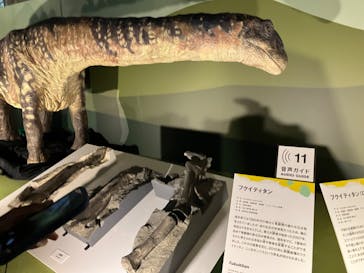 巨大恐竜展2024に投稿された画像（2024/8/4）