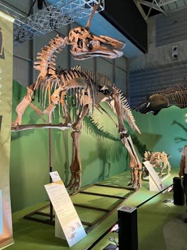 巨大恐竜展2024に投稿された画像（2024/8/4）