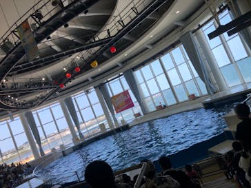 アクアワールド茨城県大洗水族館に投稿された画像（2024/8/4）