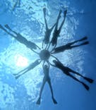 西表島 ADVENTURE PiPi（アドベンチャーピピ）に投稿された画像（2024/8/4）