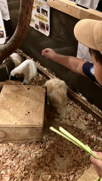 伊豆シャボテン動物公園に投稿された画像（2024/8/4）