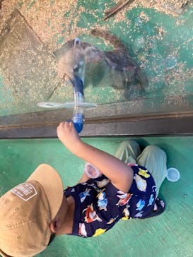 伊豆シャボテン動物公園に投稿された画像（2024/8/4）