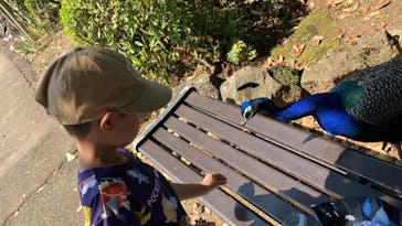 伊豆シャボテン動物公園に投稿された画像（2024/8/4）