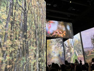 モネ＆フレンズ・アライブに投稿された画像（2024/8/4）