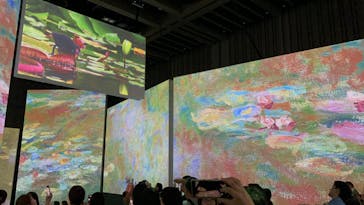 モネ＆フレンズ・アライブに投稿された画像（2024/8/4）