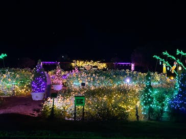 せんだい農業園芸センター　みどりの杜に投稿された画像（2024/8/4）