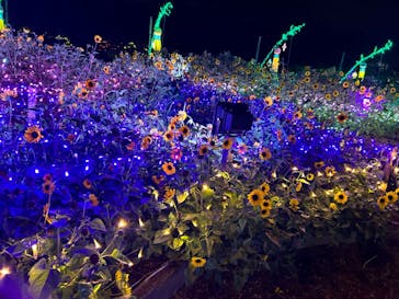 せんだい農業園芸センター　みどりの杜に投稿された画像（2024/8/4）