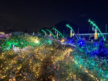 せんだい農業園芸センター　みどりの杜に投稿された画像（2024/8/4）