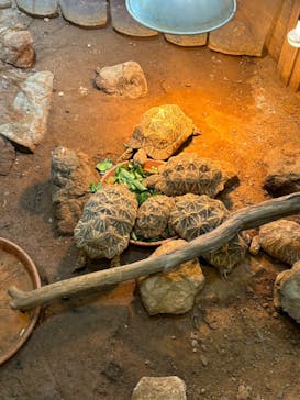 体感型動物園iZooに投稿された画像（2024/8/4）