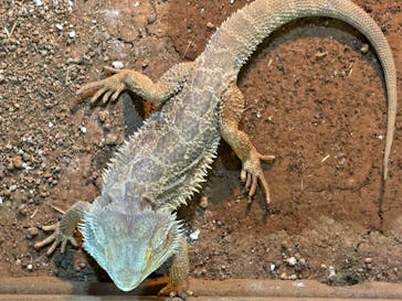 体感型動物園iZooに投稿された画像（2024/8/4）