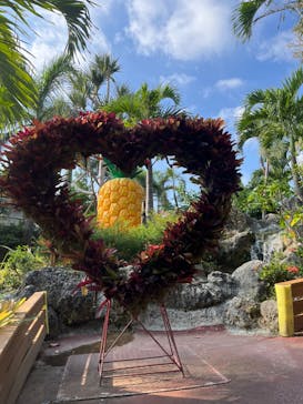 ナゴパイナップルパークに投稿された画像（2024/8/4）