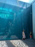 環境水族館アクアマリンふくしまに投稿された画像（2024/8/4）