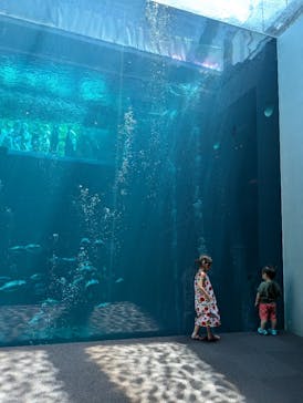 環境水族館アクアマリンふくしまに投稿された画像（2024/8/4）