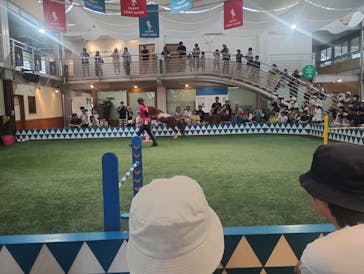 ノーザンホースパークに投稿された画像（2024/8/4）