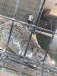 体感型動物園iZooに投稿された画像（2024/8/4）