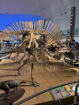 福井県立恐竜博物館に投稿された画像（2024/8/4）