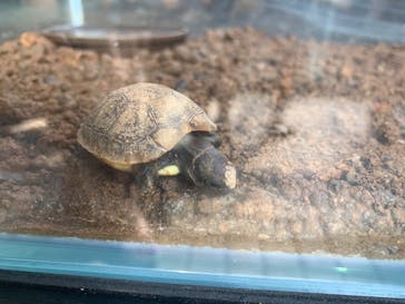 体感型動物園iZooに投稿された画像（2024/8/4）