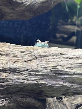 体感型動物園iZooに投稿された画像（2024/8/4）