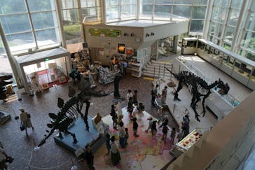 岐阜県博物館に投稿された画像（2024/8/4）