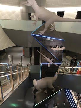 福井県立恐竜博物館に投稿された画像（2024/8/4）