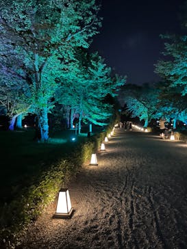 NAKED×京都水族館に投稿された画像（2024/8/4）