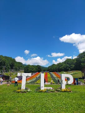 たんばらラベンダーパークに投稿された画像（2024/8/4）