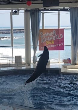 アクアワールド茨城県大洗水族館に投稿された画像（2024/8/4）