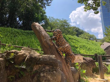 名古屋市東山動植物園に投稿された画像（2024/8/4）