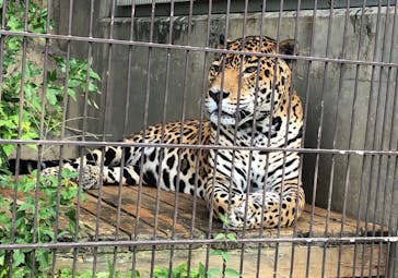 名古屋市東山動植物園に投稿された画像（2024/8/4）