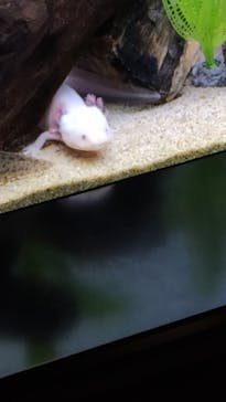 サンシャイン水族館に投稿された画像（2024/8/4）