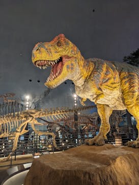 福井県立恐竜博物館に投稿された画像（2024/8/4）