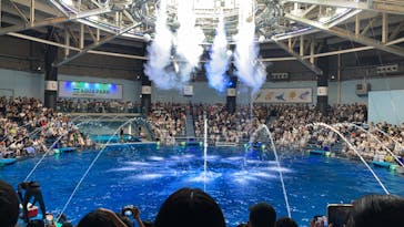 マクセル アクアパーク品川に投稿された画像（2024/8/4）