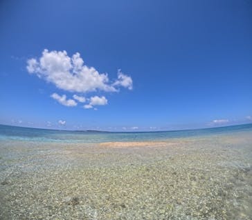 西表島 ADVENTURE PiPi（アドベンチャーピピ）に投稿された画像（2024/8/4）