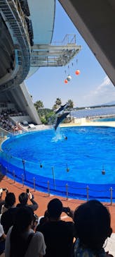 マリンワールド海の中道に投稿された画像（2024/8/4）