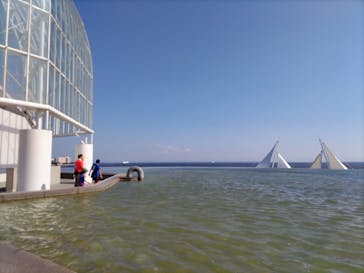 葛西臨海水族園に投稿された画像（2024/8/4）