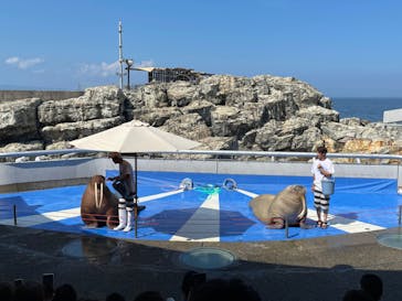 大分マリーンパレス水族館 「うみたまご」に投稿された画像（2024/8/4）