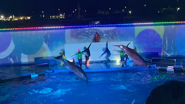 仙台うみの杜水族館に投稿された画像（2024/8/4）