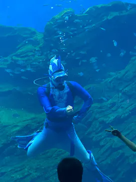 仙台うみの杜水族館に投稿された画像（2024/8/4）