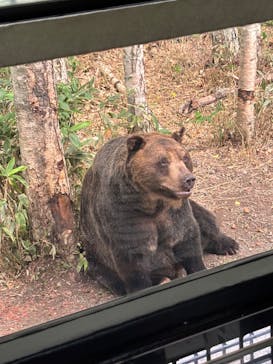 サホロリゾート　ベア･マウンテンに投稿された画像（2024/8/4）